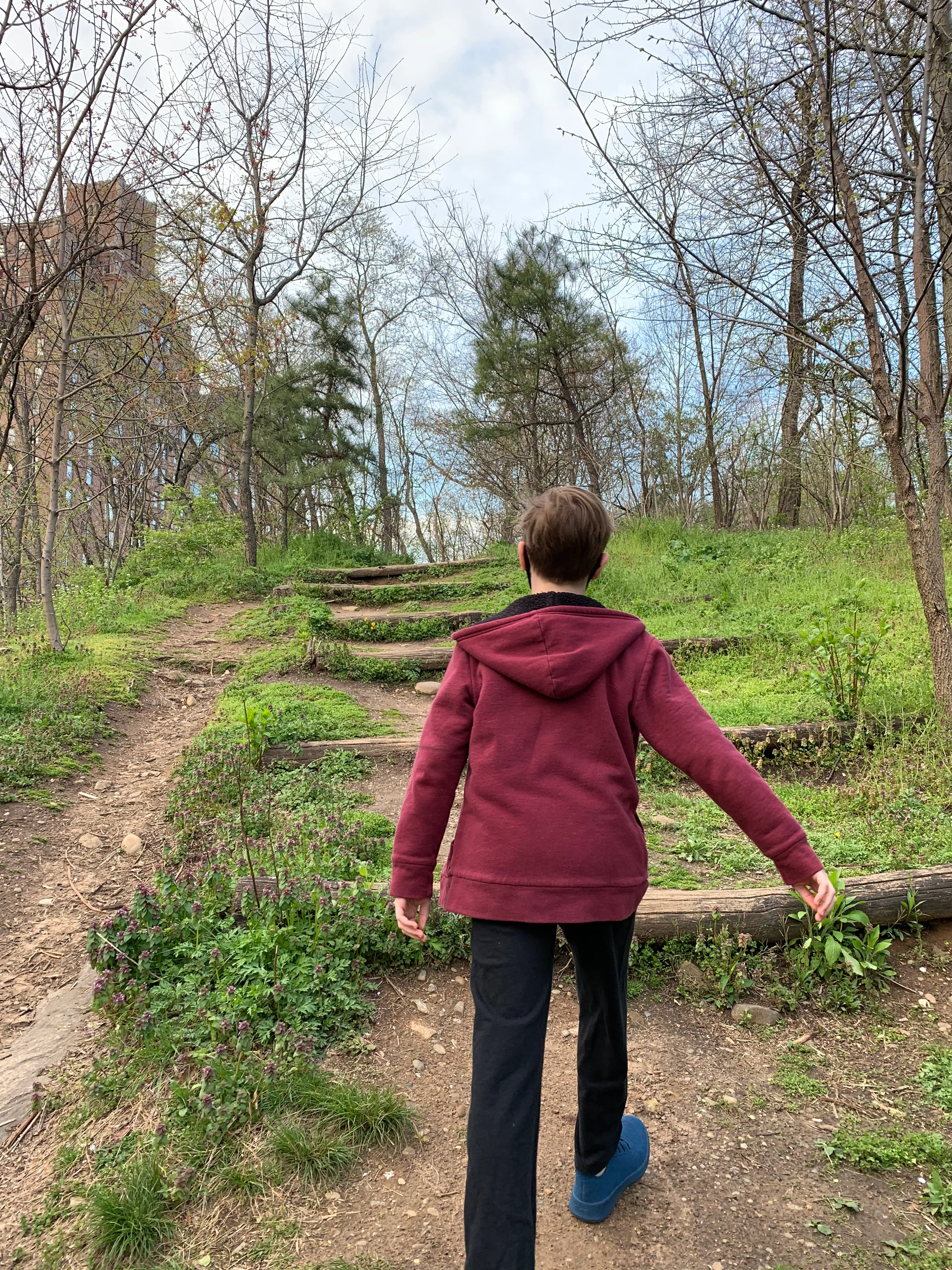 Into The Woods